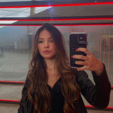 Público / engenharia de software