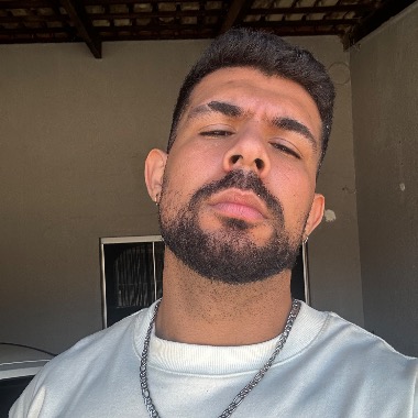 Tradutor, digitador , programador.