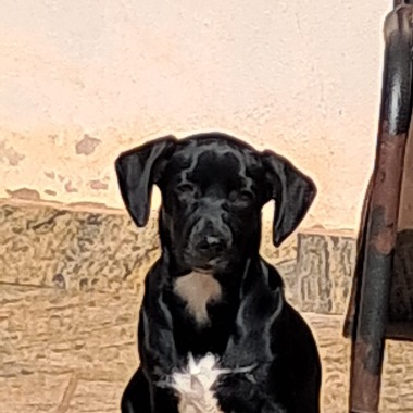 Professora, pedagoga e de Artes visuais