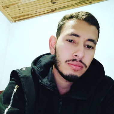 Programador, Gerente de projetos.