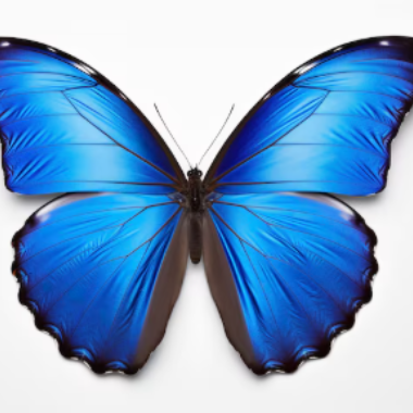 Assistente Virtual Especializada em Organização e Pesquisa de Mercado