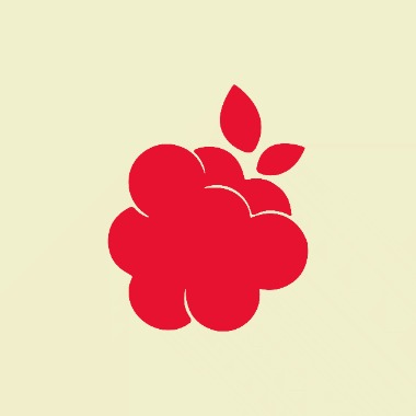 Design gráfico | Identidade Visual | Ilustração