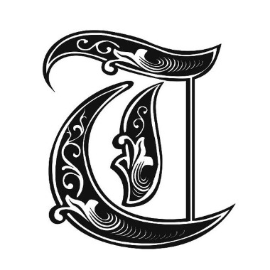 T_designer